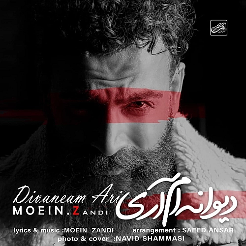 Cover artwork for Divaneam Ari by Moein Z